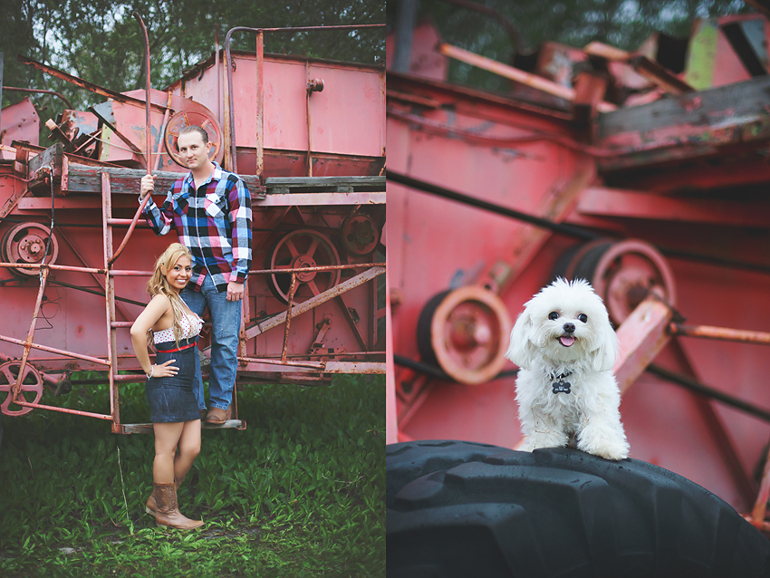Rustic-Country-Engagement-Pictures (7)
