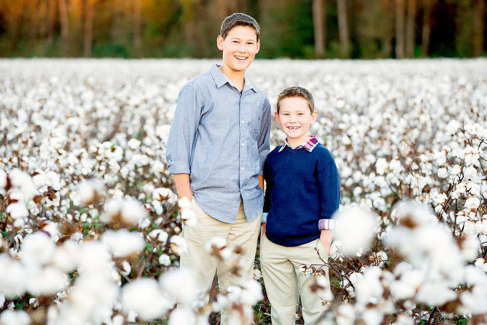 cotton-field-pictures.jpg